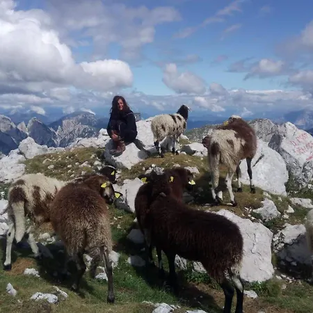 Makuc アパート *