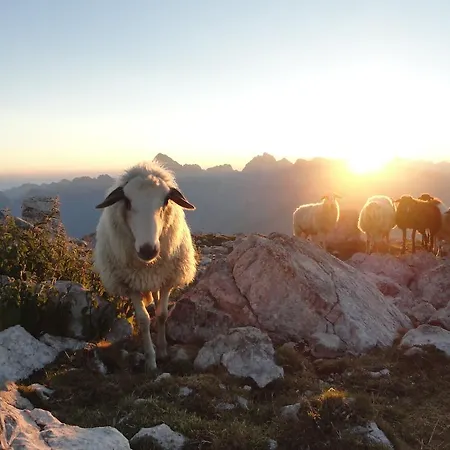 Apartment Makuc Bovec
